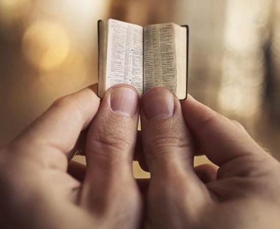 Tiny bible (representational image). Source: Kevin Carden / Adobe Stock