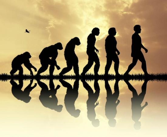 A new study suggests three key phases in human ancestry for scientists to focus future research