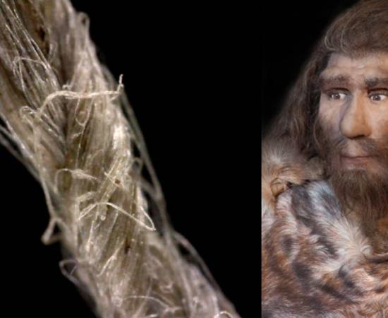 Close-up of modern flax cordage showing twisted fiber construction. (S. Deryck) and a modern representation of a Neanderthal