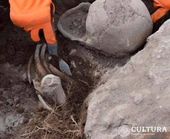 Modified skulls unearthed at La Ferrería Archaeological Zone in Durango State, Mexico. Source:   INAH National Institute of Anthropology and History of Mexico