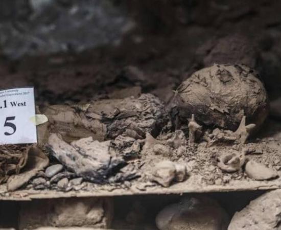 One of the newly-discovered mummies - Egypt