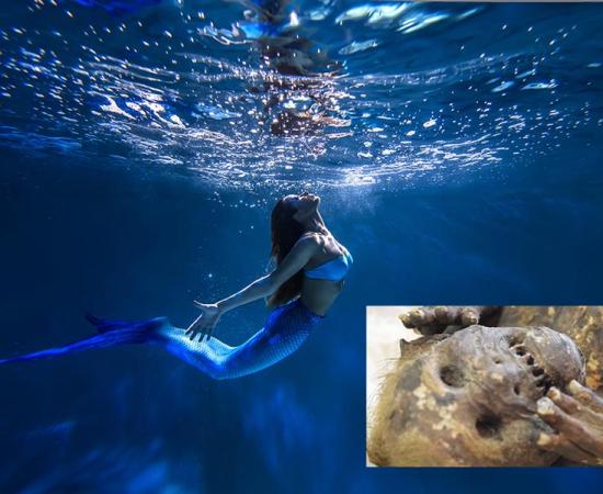 Mermaid image with inset image of the Japanese mummified mermaid. Source: yukinya / Adobe Stock and Asahi Shumbun Company / Youtube