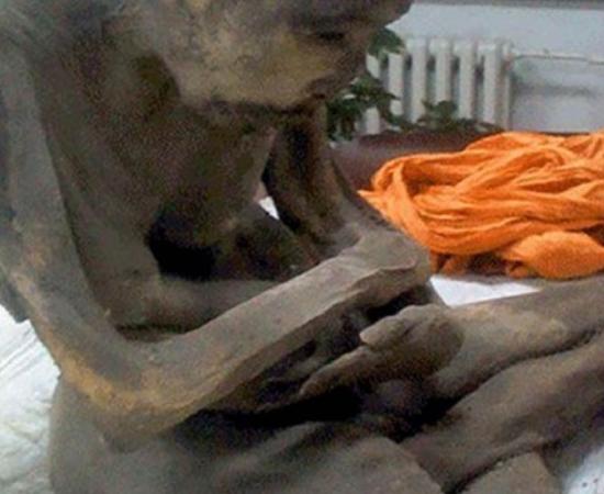 The body of Shinnyokai Shonin, found in Oaminaka, Japan