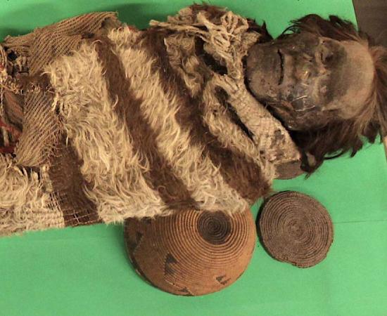 A roughly 2000-year-old mummified man of the Ansilta culture, from the Andes of San Juan, Argentina, had lice eggs and cement in his hair which preserved his own DNA.		Source: Universidad Nacional de San Juan