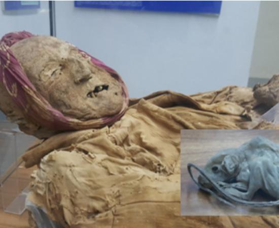 Earthquake in Ecuador Reveals Bizarre Burial of a Mummy in a Jar with a Little Mouse 