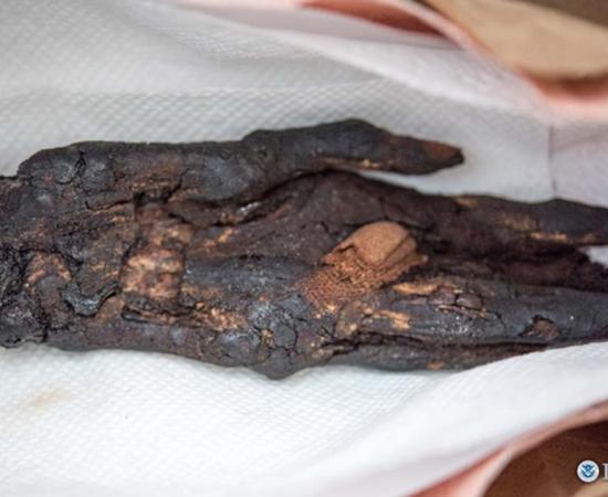 Operation Mummy's Curse Repatriates 2,800-Year-Old Mummified Hand That Had Been Used as Hollywood Prop