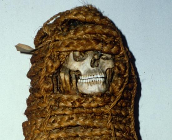 11th century Pre-Columbian mummy who has surprised scientists with antibiotic-resistant genes.  
