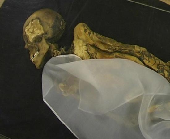 Mummy of the Ukok Princess/Siberian Ice Maiden. Tattoos line her arms. 