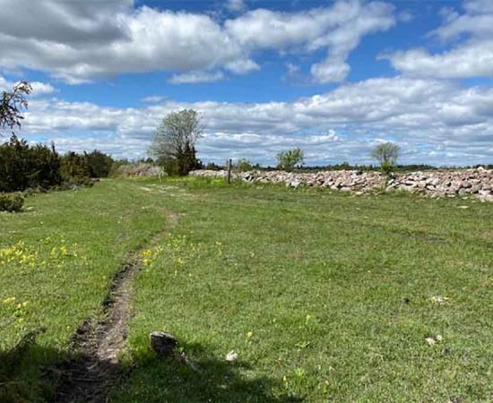 Lost Swedish Mythical Castle Found In Dry Lake By Clever Archaeologist
