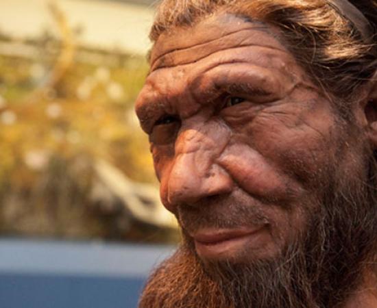 Neanderthal Reconstruction