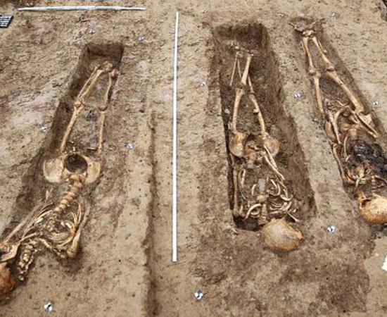 The remains of soldiers from Napoleon's army
