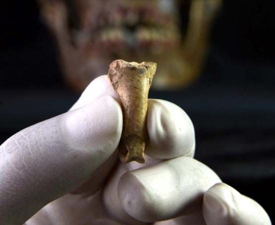 The ‘Last Neanderthal Necklace’ Has Been Found In Spain