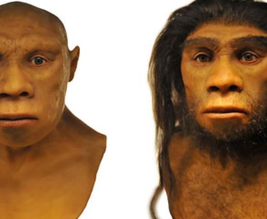 Neanderthals