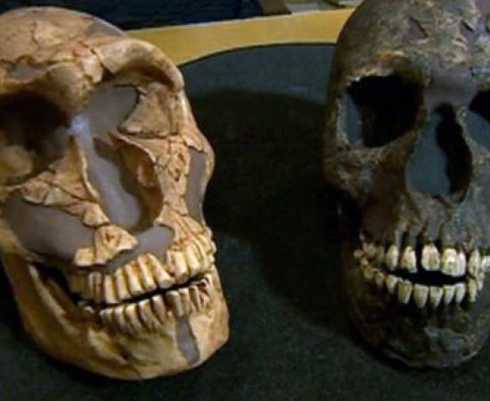 Neanderthals Big Eyes