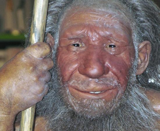 Neanderthal Hybrid