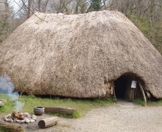 Neolithic House