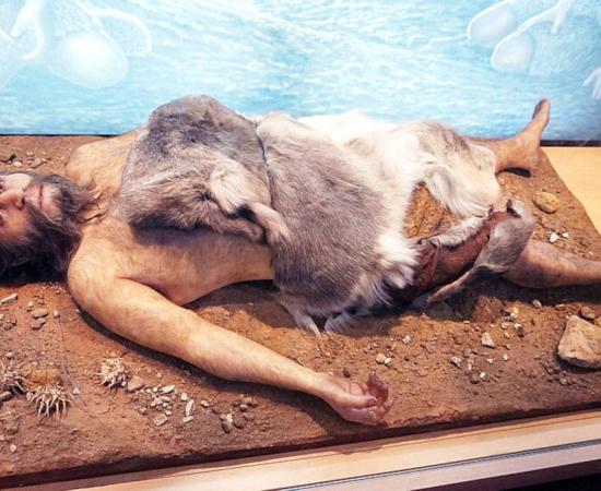 Neanderthal display at the National Museum of Natural Sciences in Madrid. 