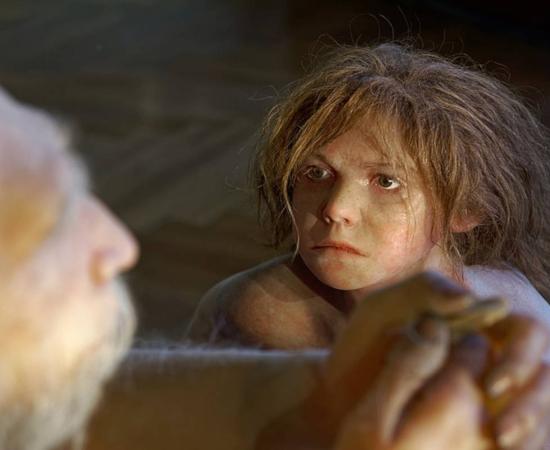 Model of Homo neanderthalensis child in the Natural History Museum, Vienna 