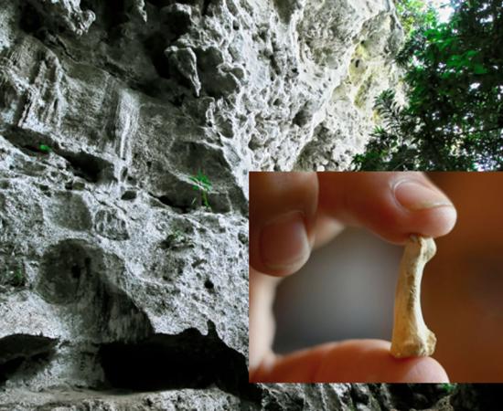 Penablanca, Cagayan Province, Philippines, near the entrance to the limestone Callao Cave where there is evidence of a new human species. Source: Michael / Adobe. Inset: A foot bone from Homo luzonensis. (Xinhua/Rouelle Umali)