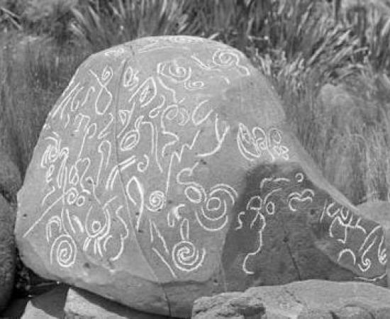 Ancient New Zealanders