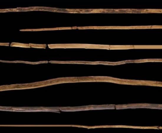 Schöningen wooden spears, dated to 200,000 years ago