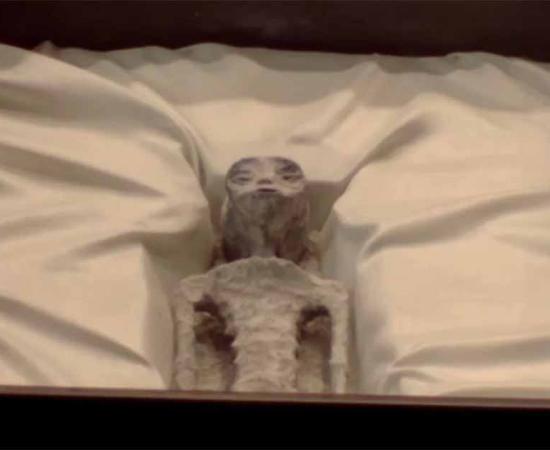 The non-human body presented at the Congress of Mexico     Source: Camara de Diputados/Congress de Mexico