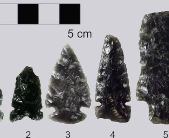 Samples of obsidian arrowheads that have been found at archaeological sites in Alberta.
