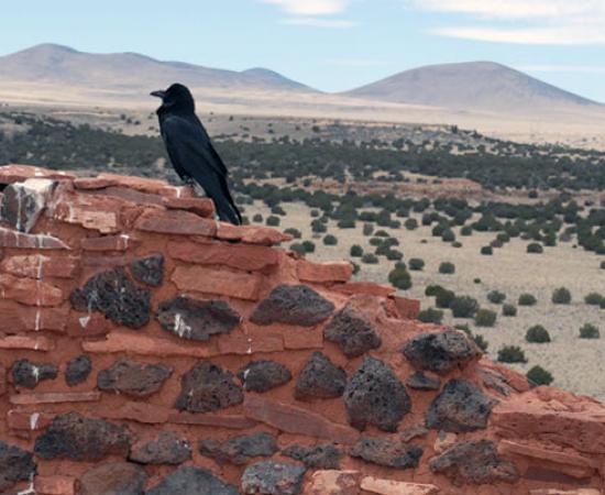 1000 Old Village - News Mexico