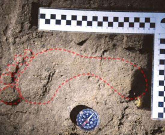 Oldest European human footprints in Romanian cave