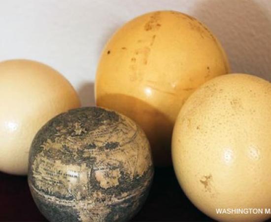 Oldest Globe of New World Carved on Ostrich Eggs