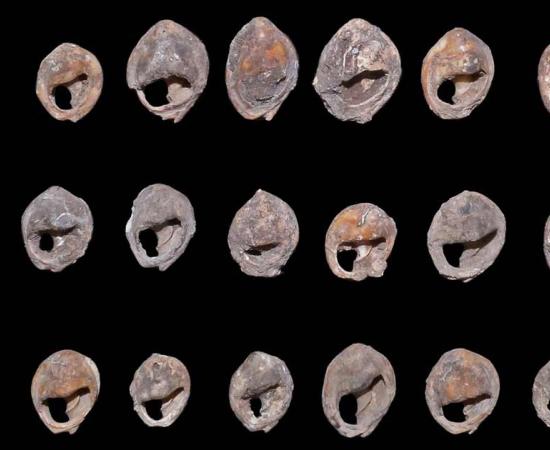 World’s Oldest Jewelry Excavated at a Moroccan Cave