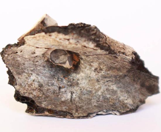 From the archaeological site of the oldest known cremation in the Middle East found in Israel Source: