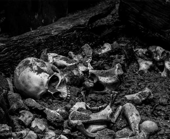 Human skeletal remains (representational image). Source: Thanakrit / Adobe Stock