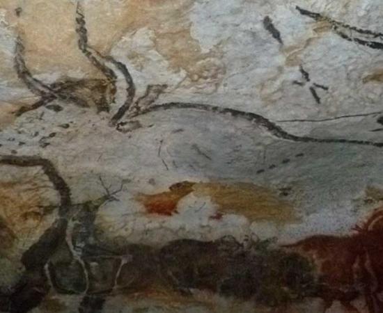 Auroch bull painting in the Lascaux cave, with the four dots indicated. Source: JoJan /CC BY 4.0