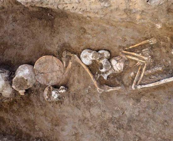 One of the 14th-century-BC Canaanite burials at Tel Yehud associated with vessels containing traces of opium. Source: Assaf Peretz / Israel Antiquities Authority