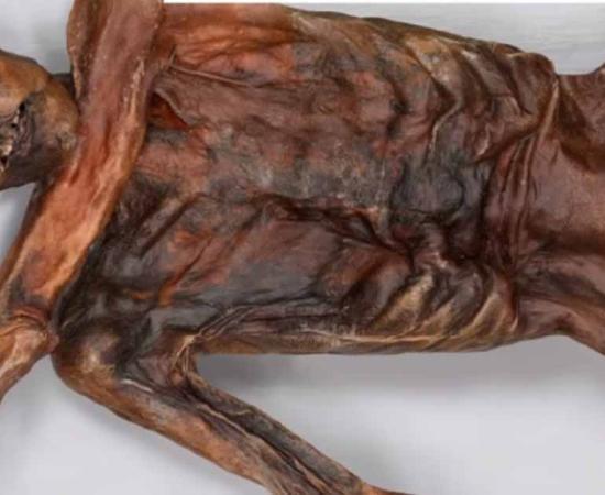Ötzi Tyrolean Iceman continues to be a perplexing mystery in the realm of archaeology. Source: YouTube screenshot/Ancient Geographic