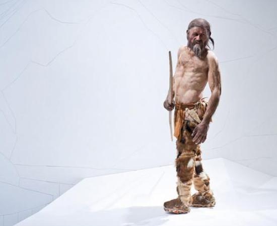 Otzi reconstructed