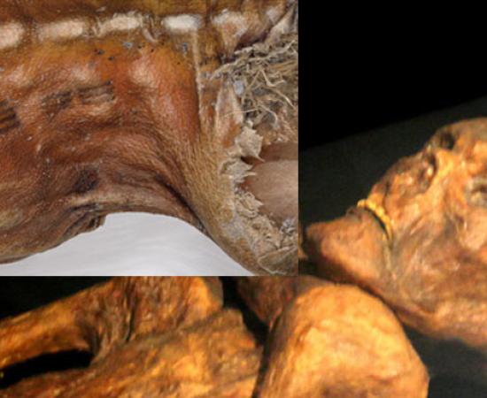 Otzi Tattoos