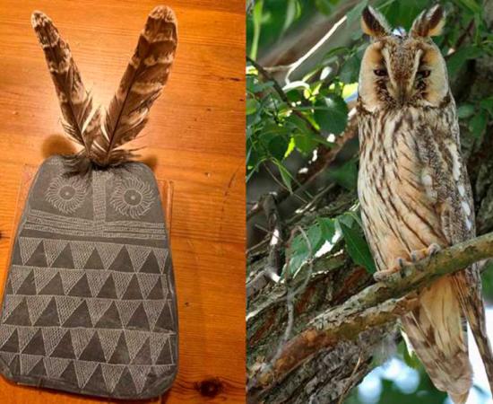 Composite image depicting the similitude between a replica of the Valencian slate owl plaque with inserted feathers (on the left) and the long-eared owl species which may have inspired numerous engraved owl plaques (on the right). Source: Juan J. Negro / CC BY 4.0