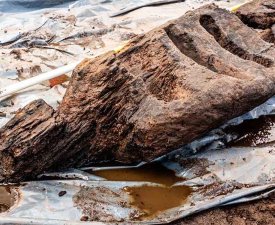 The 1,600-year-old pagan idol found in Roscommon bog, Ireland. Source: Archaeological Management Solutions/European Association of Archaeologists