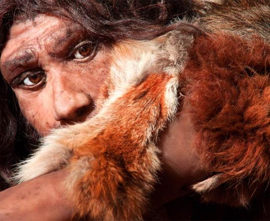 Evolutionary geneticists conducting a genome study have found that Neanderthals had a lower pain threshold than the majority of modern humans. Source: proct_ab / Adobe Stock