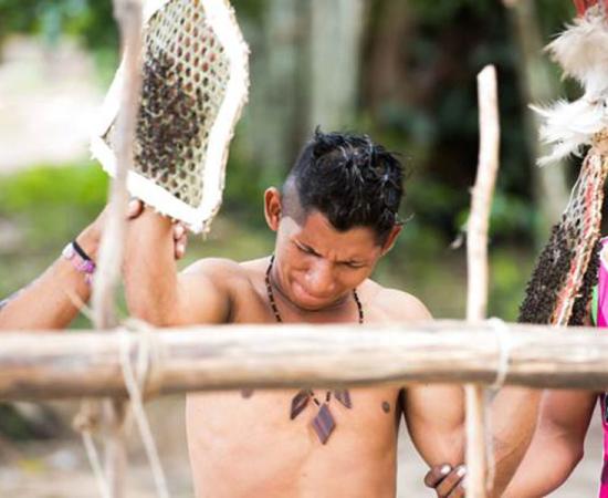 The super painful initiation rite of the Sateré-Mawé people, one of the oldest native tribes of Brazil, involved wearing gloves full of stinging Bullet Ants. (Mongabay)