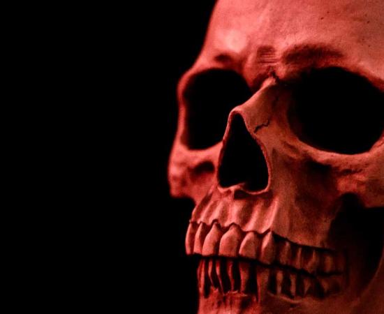 Red skull, representational. Source: ahlaj77 / Adobe Stock