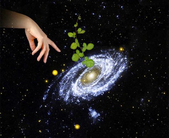 Panspermia – The Idea That Life Came From The Stars