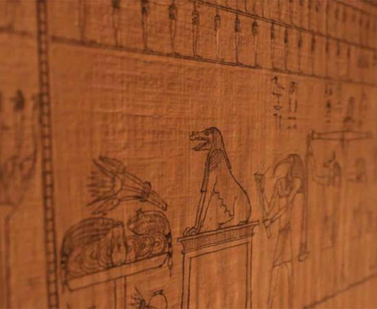  Part of the 16-meter-long document from Saqqara that includes illustrations and text from the Book of the Dead of Ahmose. Source: Supreme Council of Antiquities