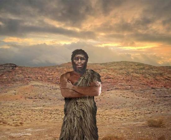 Several past human species went extinct due to climate change. Source: regis allouet /Adobe Stock