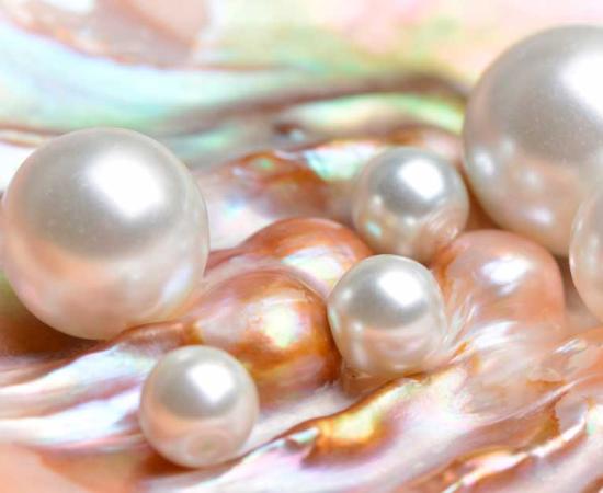 Natural pearls inside an oyster shell were a surprise in the ancient food sources of peoples living on the coast in the Persian Gulf and southern India and before long they were world famous elite gemstones. Source: valeriy555 / Adobe Stock