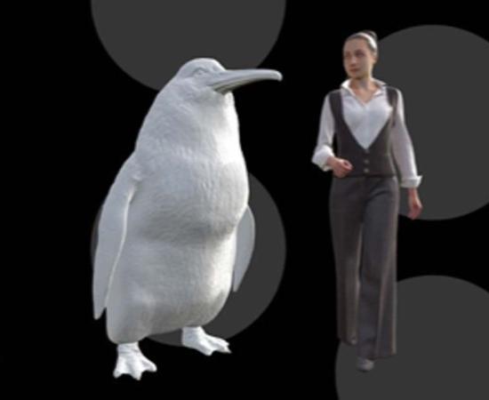 An illustration shows the approximate height of a giant penguin next to a woman. Source: Canterbury Museum
