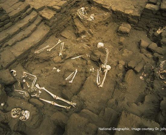 Peru Human Sacrifices