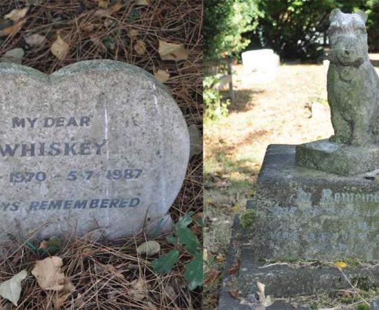 Do All Dogs Go To Heaven? Pet Cemeteries and Belief in an Animal Afterlife